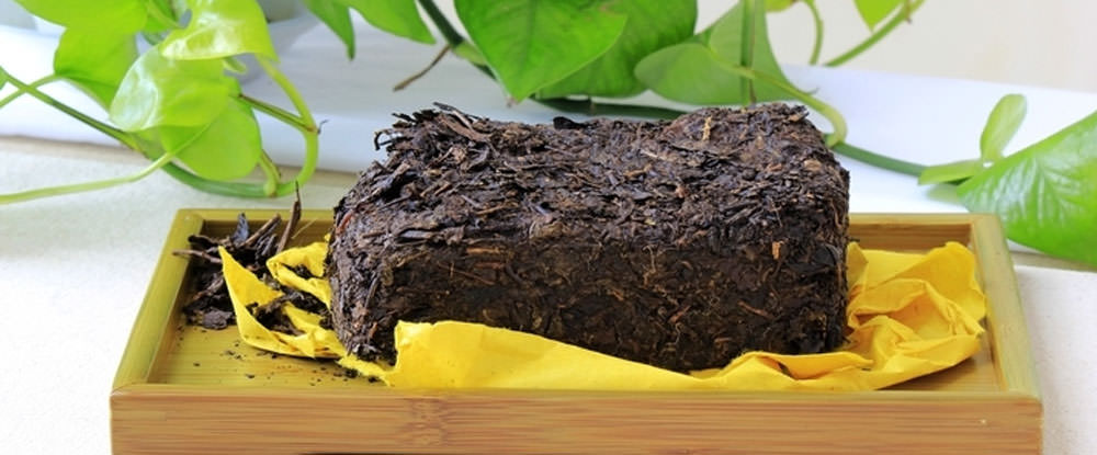 藏茶