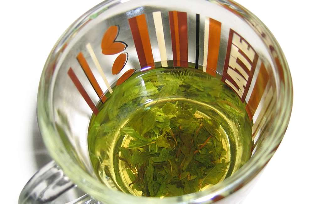 綠茶防蛀牙