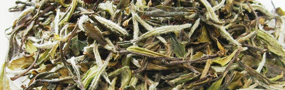 新工藝白茶