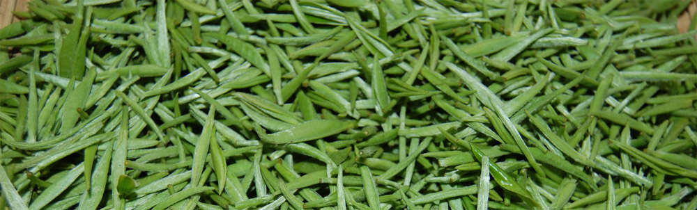 南京雨花茶