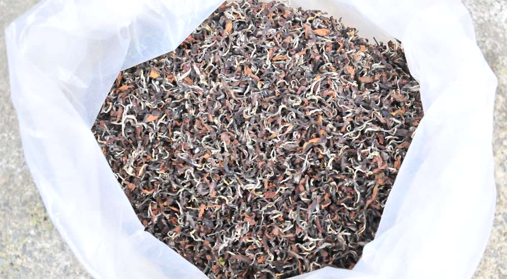 東方美人茶是生茶還是熟茶
