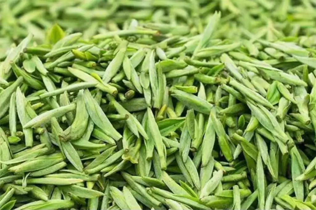 蒙頂甘露茶