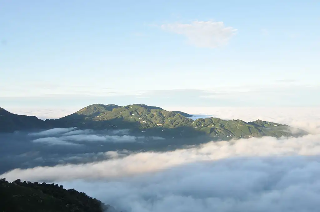 番仔田茶區