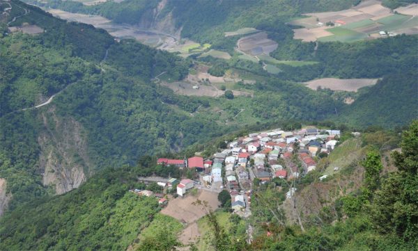 梨山烏龍茶，產於馬烈霸部落（2020冬茶)：圖片 4