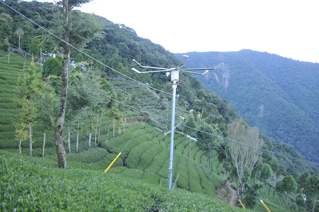 茶園防霜風扇