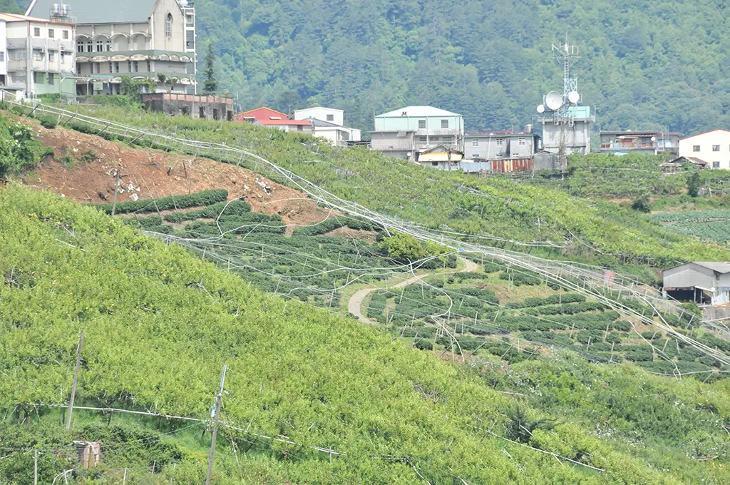 梨山農地