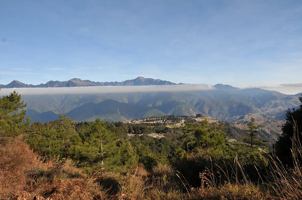 福壽山茶