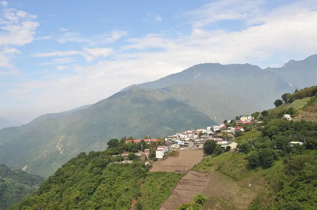 馬烈霸茶區