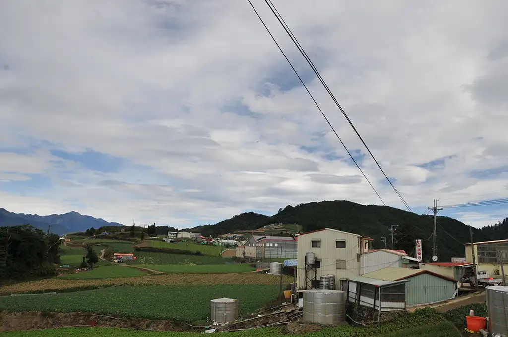 華岡茶葉價格