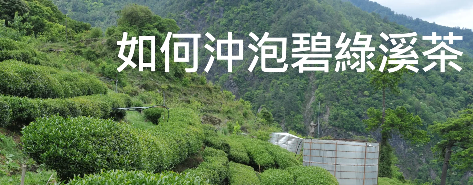 碧綠溪茶(2026年春茶熱銷中)：價格實惠道地台灣好茶