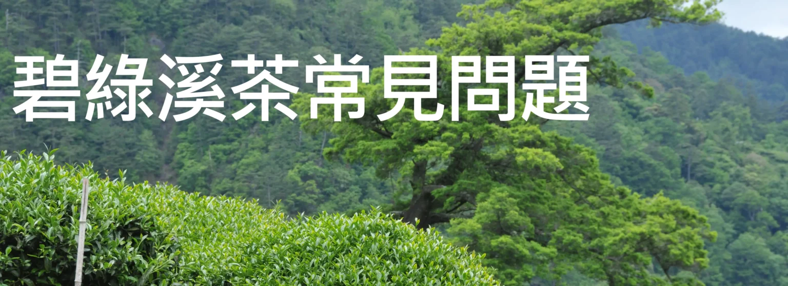 碧綠溪茶(2026年春茶熱銷中)：價格實惠道地台灣好茶