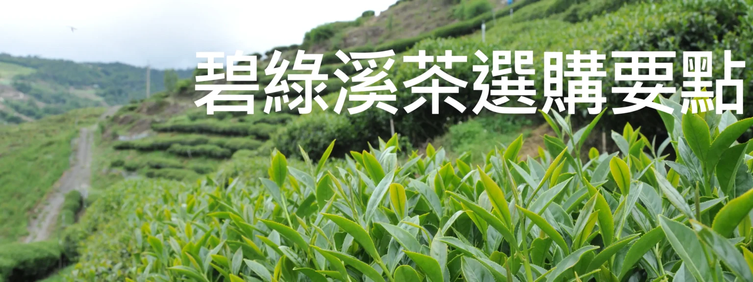 碧綠溪茶(2026年春茶熱銷中)：價格實惠道地台灣好茶