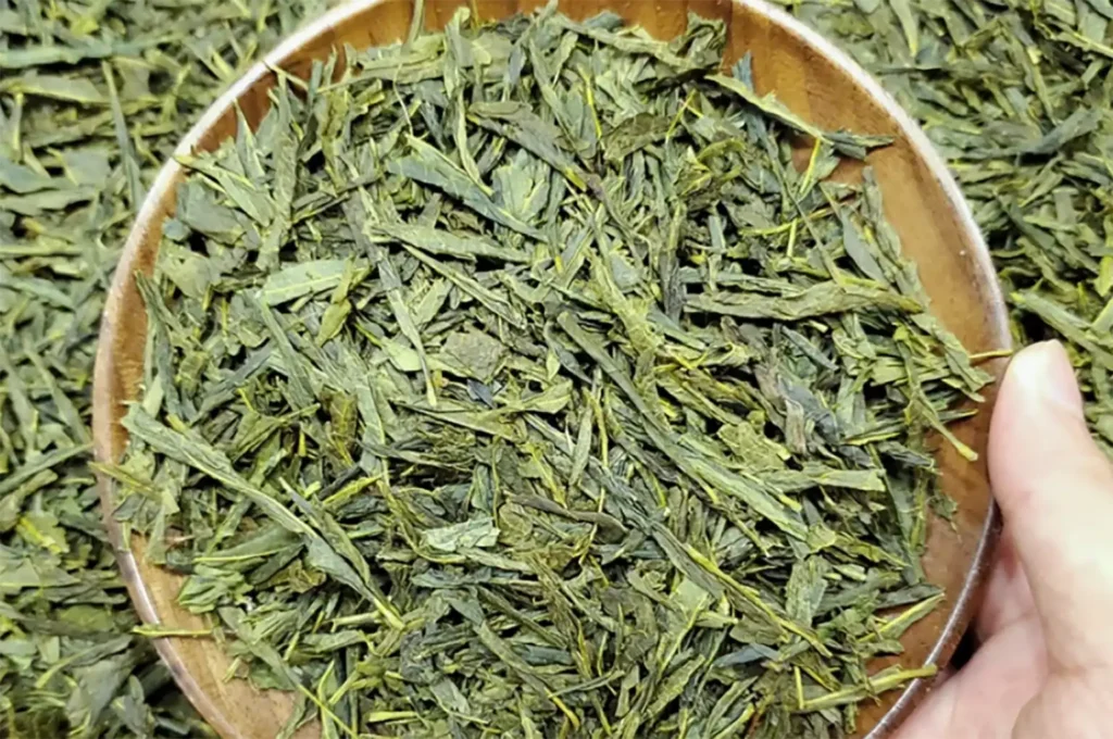煎茶-日本最受歡迎的綠茶種類 - 廖長興茶業